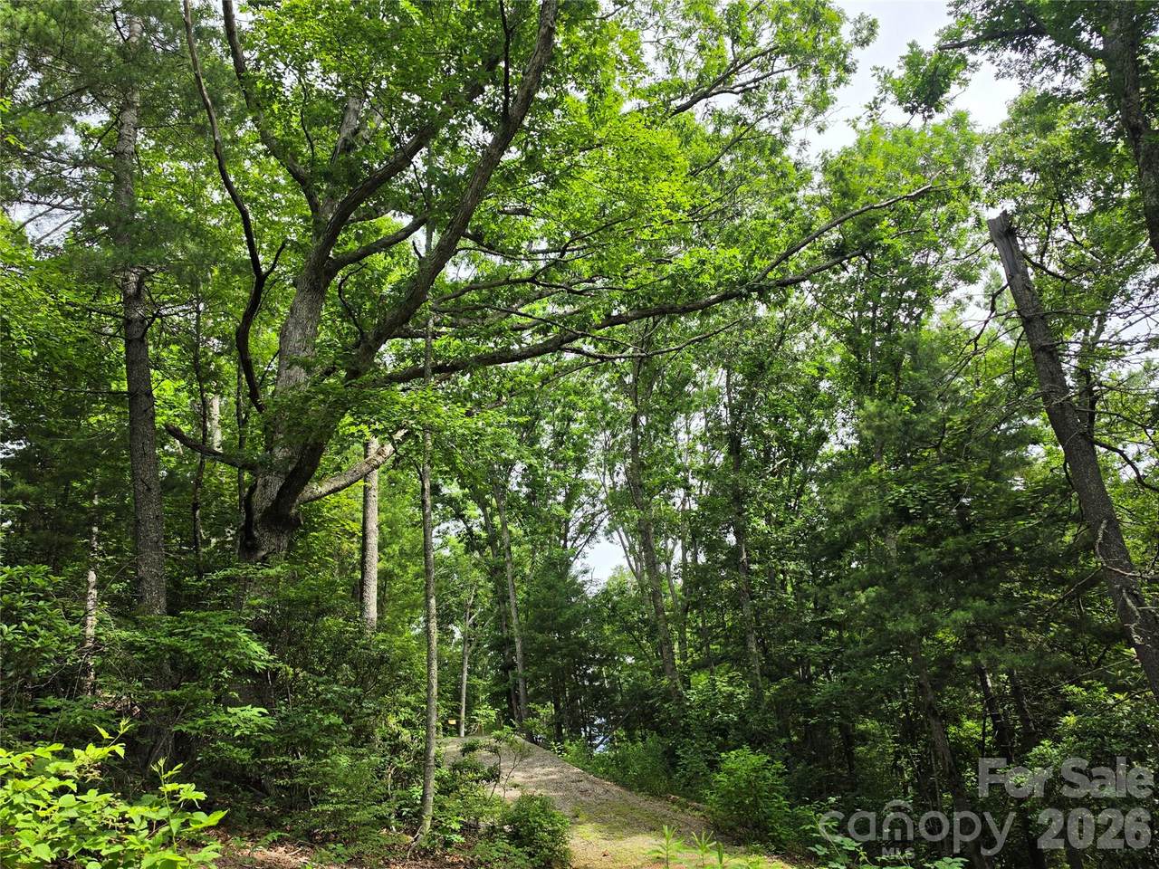 9999 Fairview Forest Drive - Photo 1