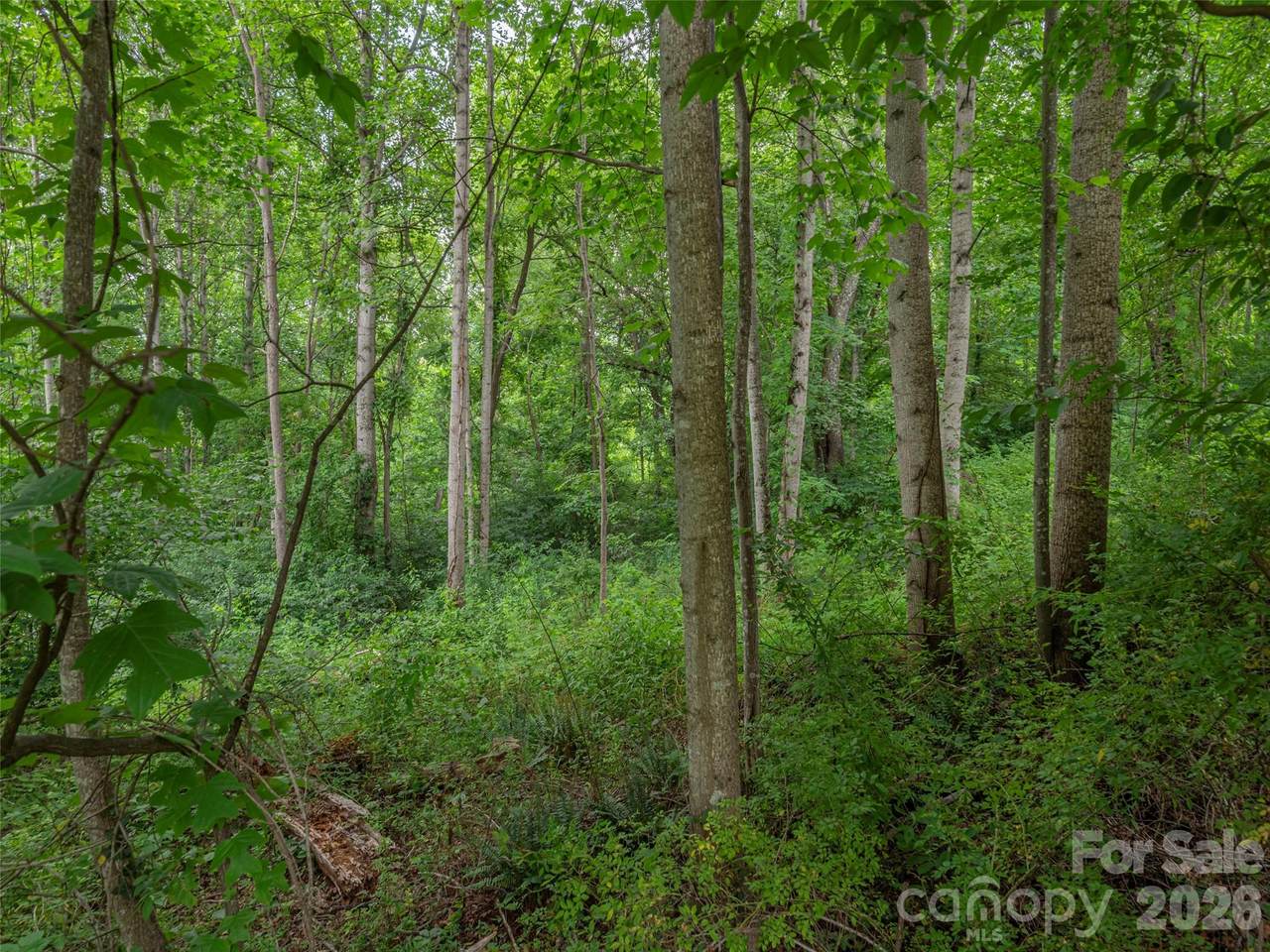 https://bt-photos.global.ssl.fastly.net/cmls/1280_boomver_1_4397960-1.jpg