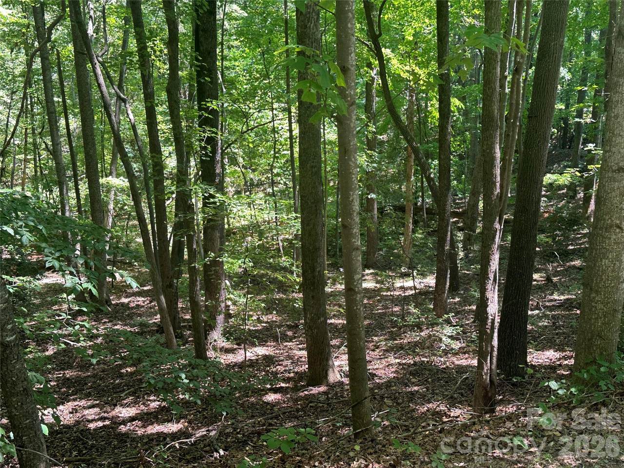 https://bt-photos.global.ssl.fastly.net/cmls/1280_boomver_1_4398004-1.jpg