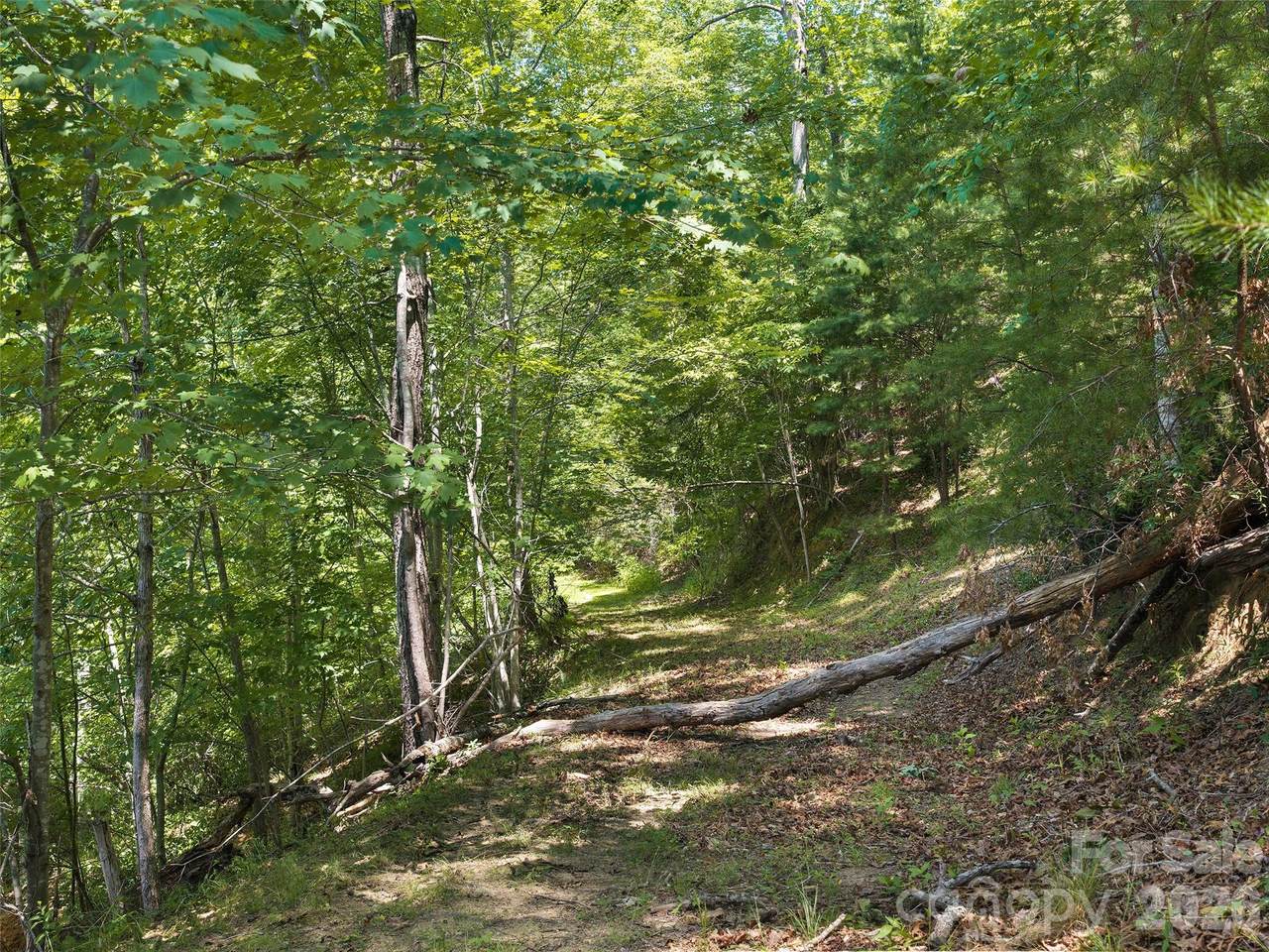 https://bt-photos.global.ssl.fastly.net/cmls/1280_boomver_1_4398074-1.jpg
