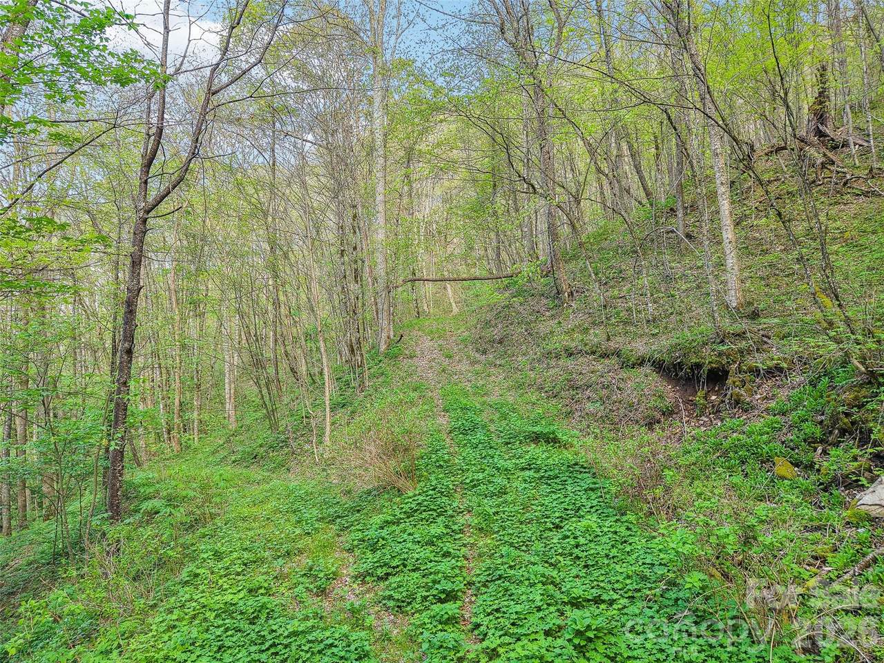 https://bt-photos.global.ssl.fastly.net/cmls/1280_boomver_1_4398081-1.jpg
