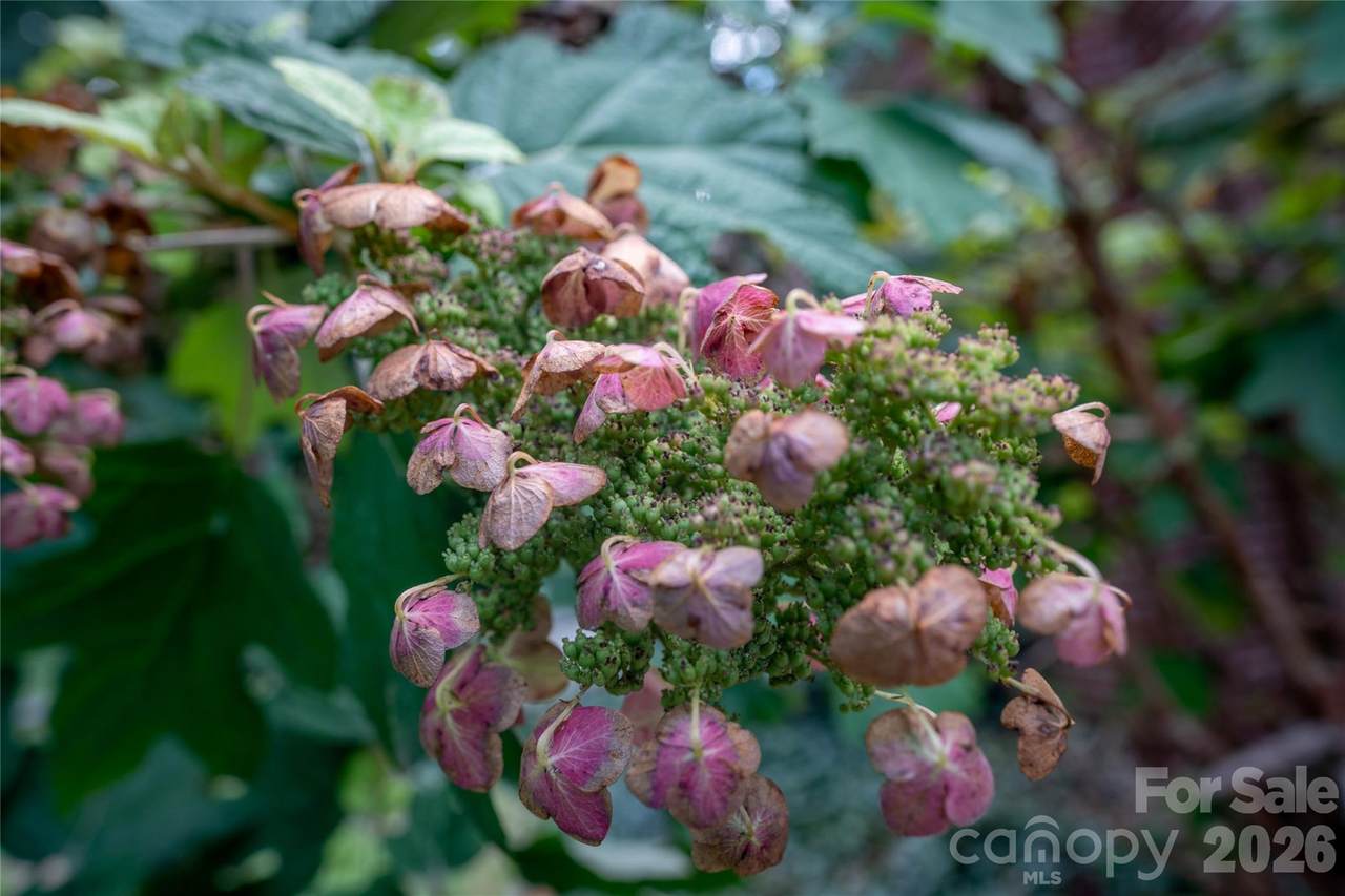 https://bt-photos.global.ssl.fastly.net/cmls/1280_boomver_1_4398418-1.jpg