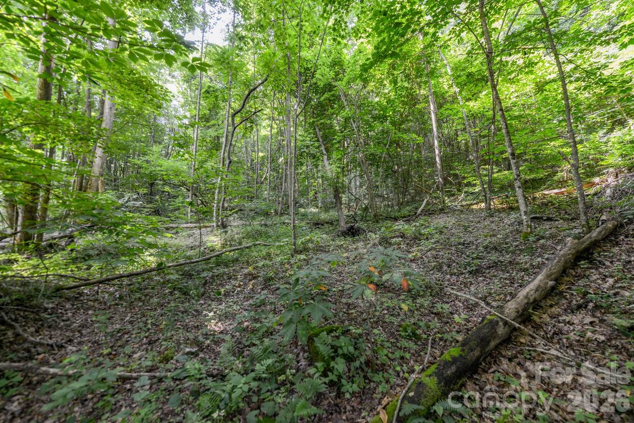 ### Board Tree Road - Photo 1