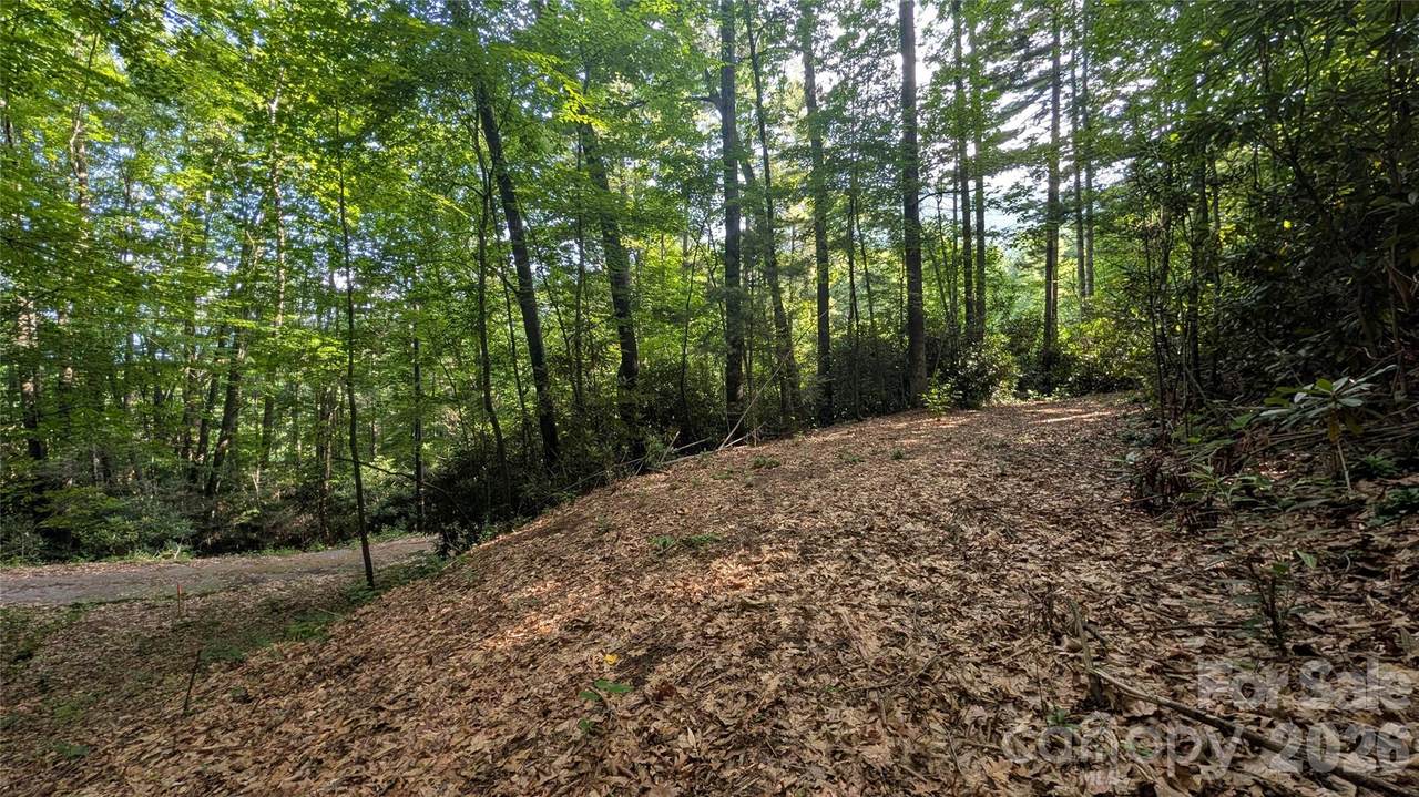 00 Chestnut Walk - Photo 1