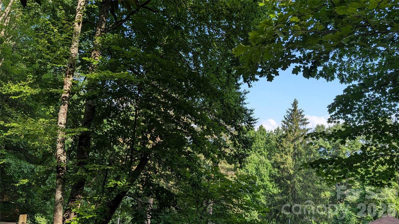 00 Chestnut Walk - Photo 1