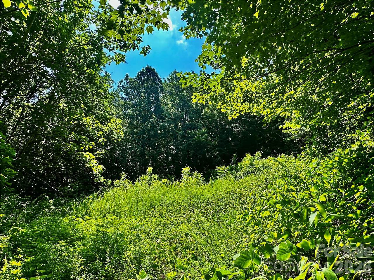75 Fork Creek Road - Photo 1