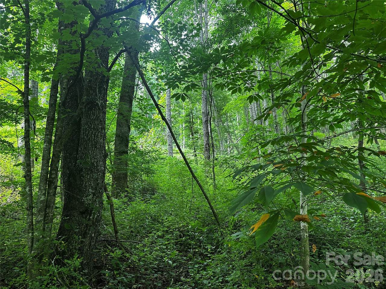 https://bt-photos.global.ssl.fastly.net/cmls/1280_boomver_1_4398676-1.jpg