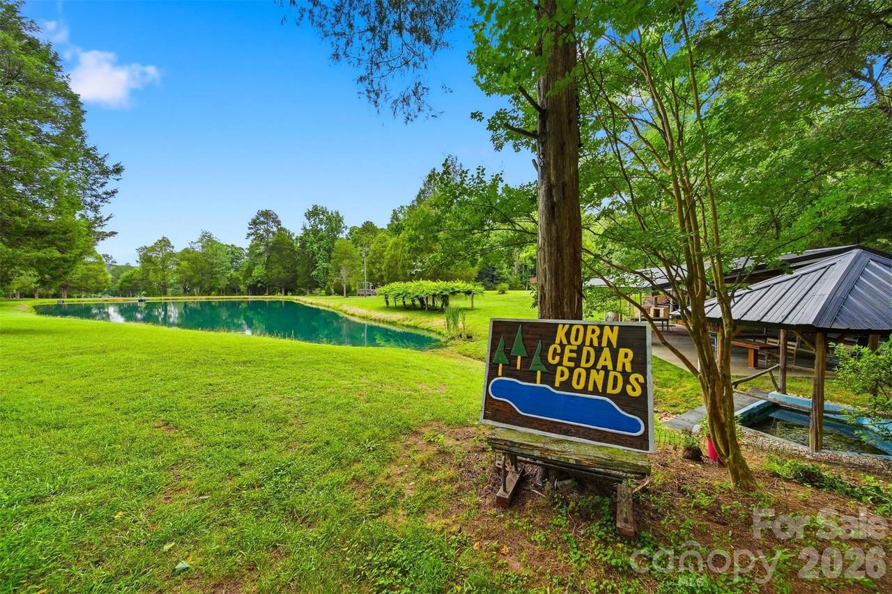 1915 Cedar Pond Road - Photo 1