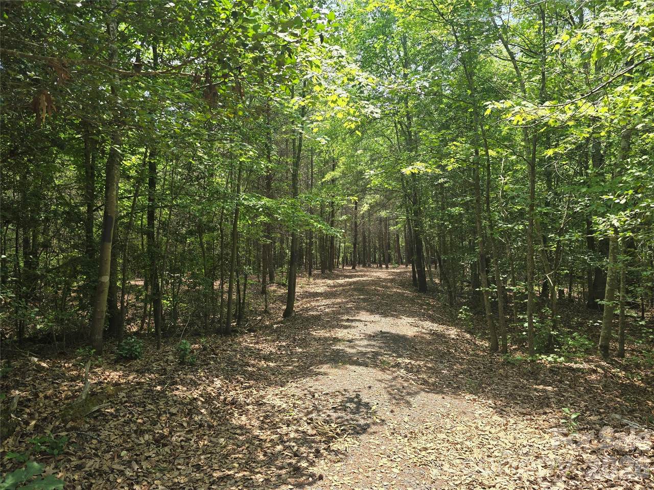 385 Dennis Road - Photo 1