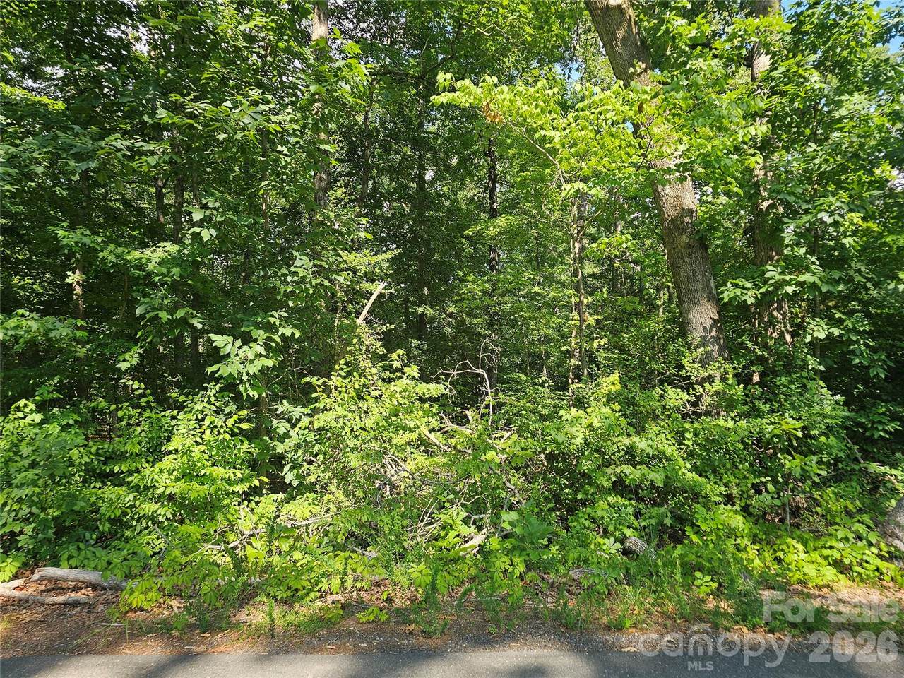 0 Golfers Drive - Photo 1