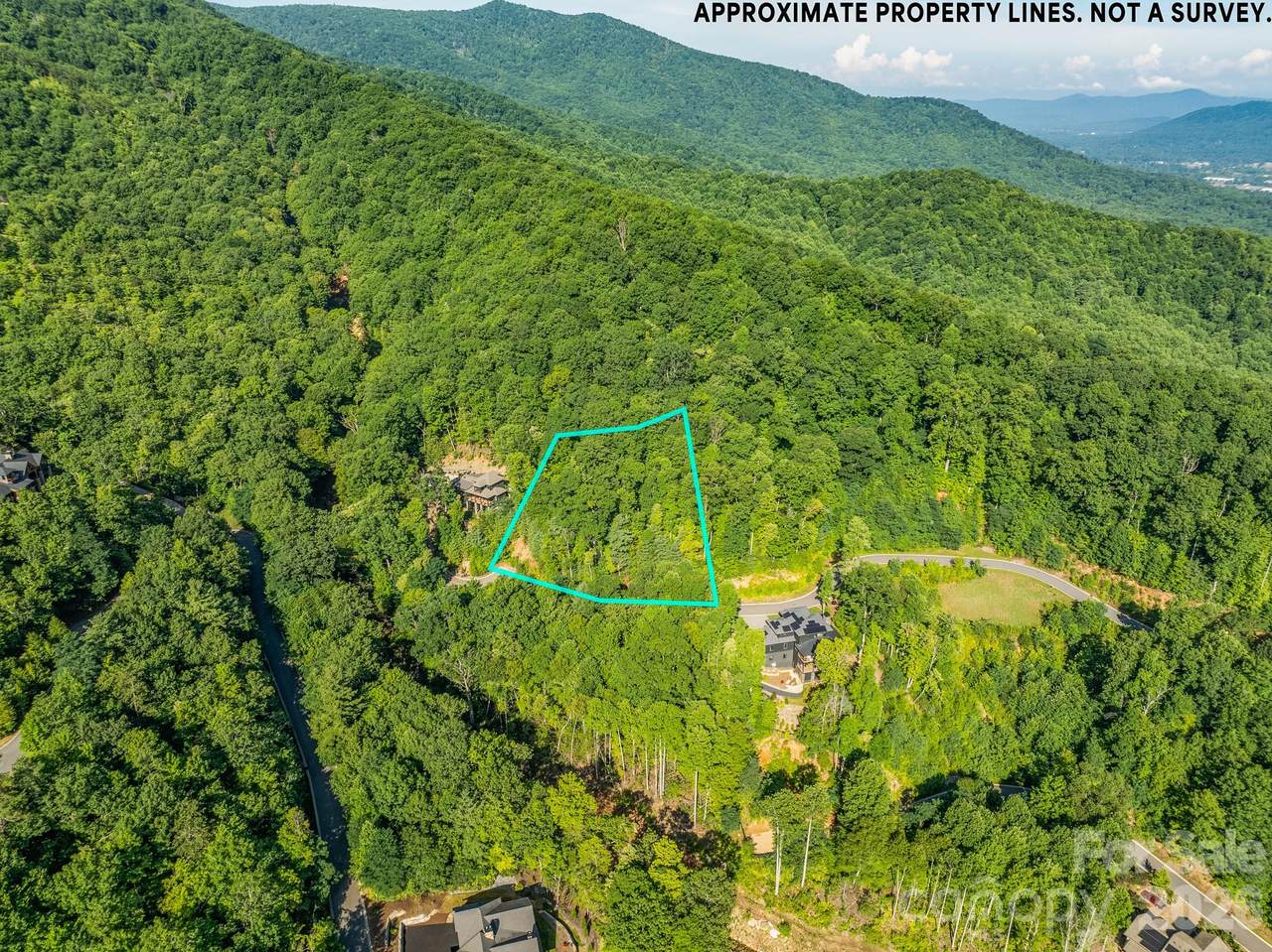59 Old Greybeard Loop - Photo 1