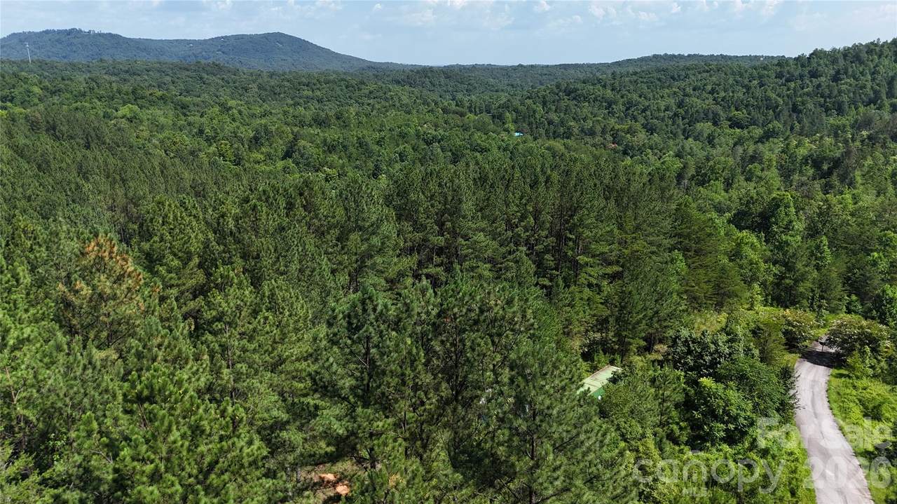 590 Gold Creek Point - Photo 1
