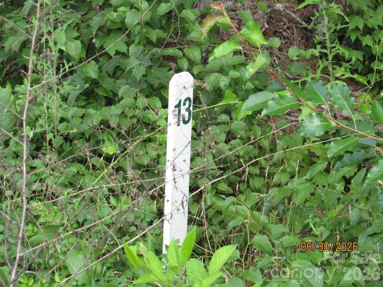 https://bt-photos.global.ssl.fastly.net/cmls/1280_boomver_1_4399886-1.jpg