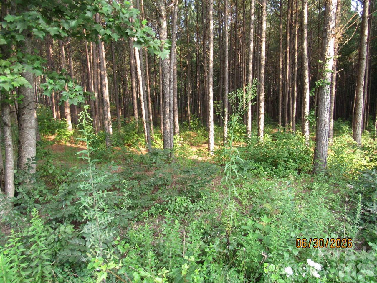 https://bt-photos.global.ssl.fastly.net/cmls/1280_boomver_1_4399886-1.jpg