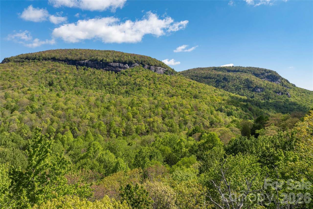 TBD Long Ridge Road - Photo 1