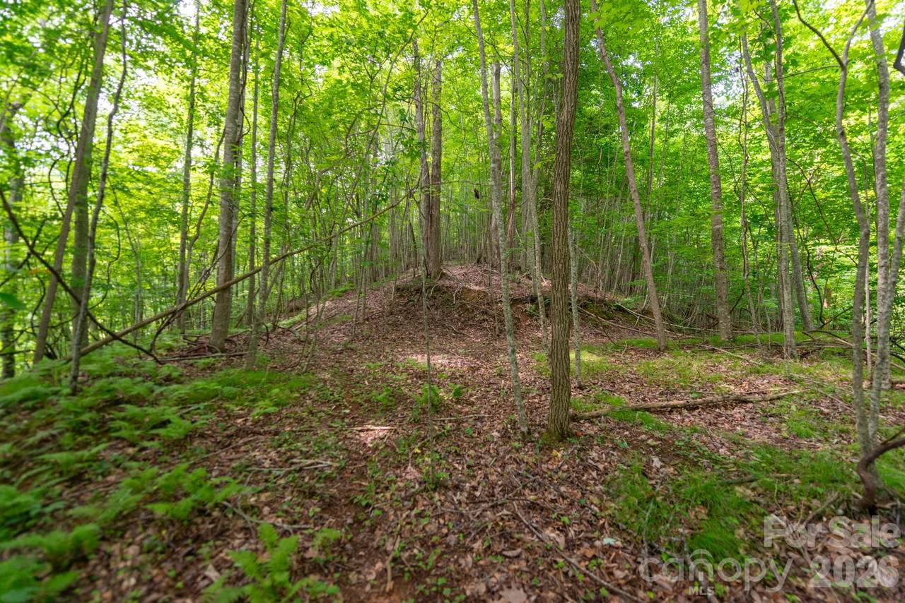 ### Board Tree Road - Photo 1