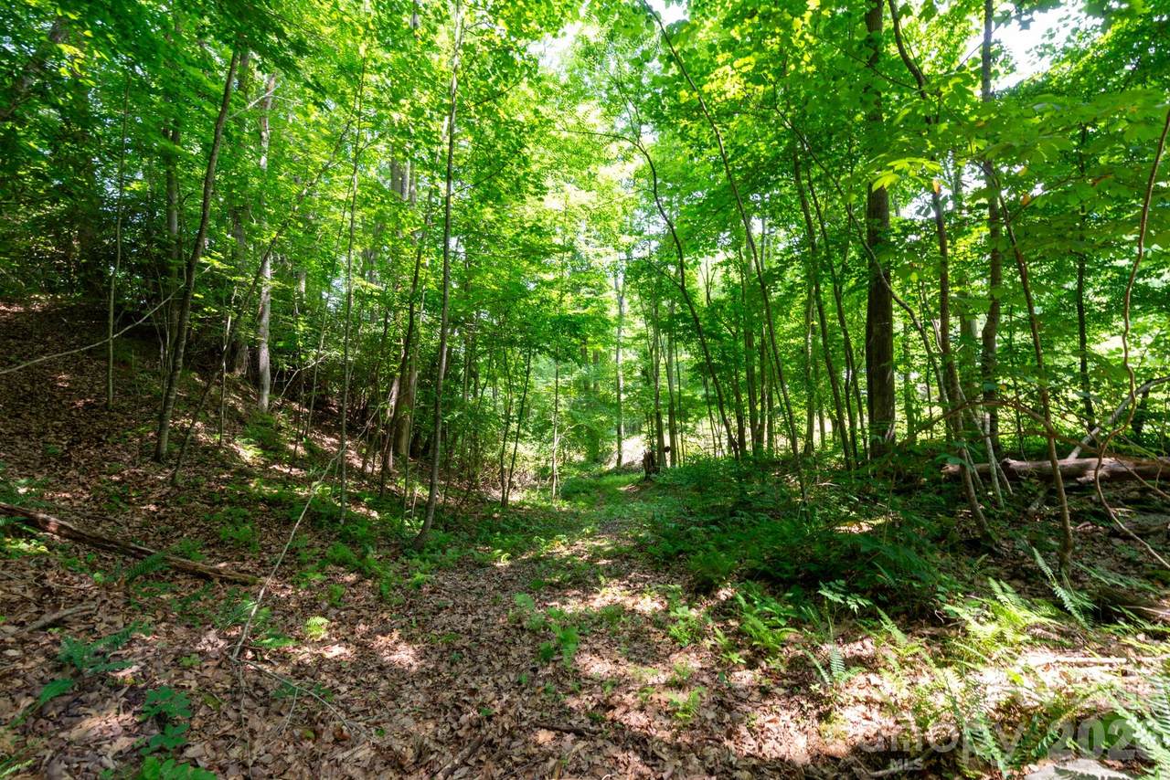 ### Board Tree Road - Photo 1