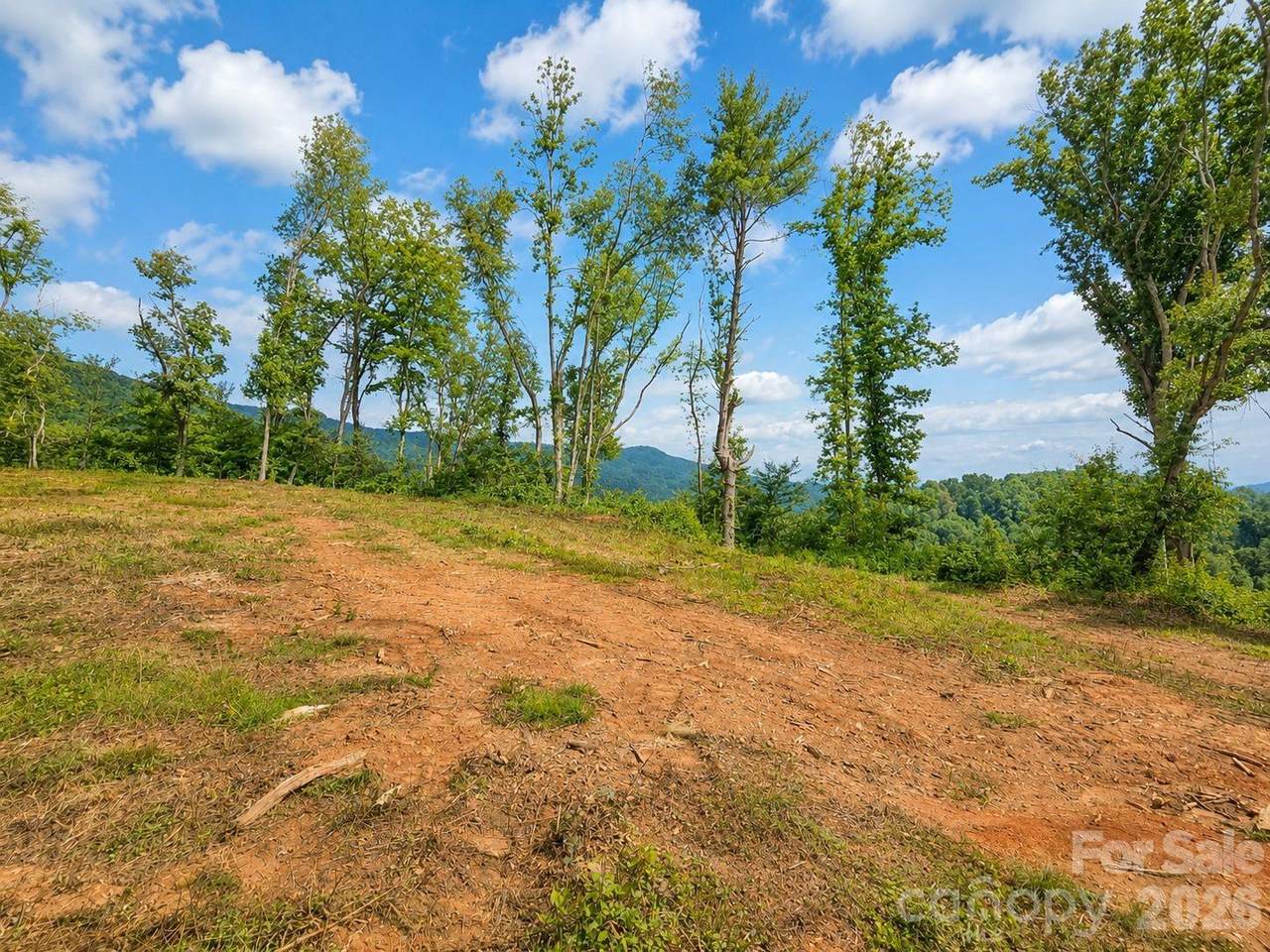 275 Sorrells Cove Road - Photo 1