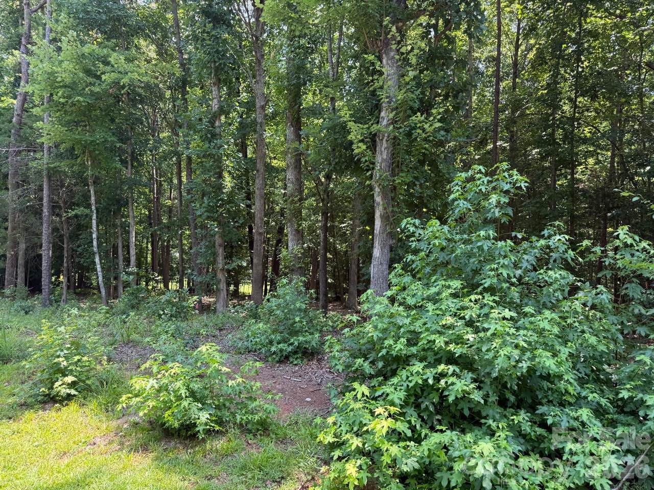 3207 Regal Oak Drive - Photo 1