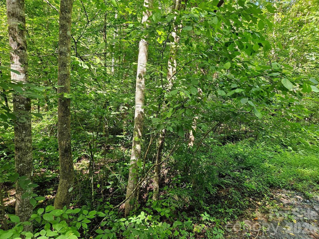 https://bt-photos.global.ssl.fastly.net/cmls/1280_boomver_1_4400796-1.jpg