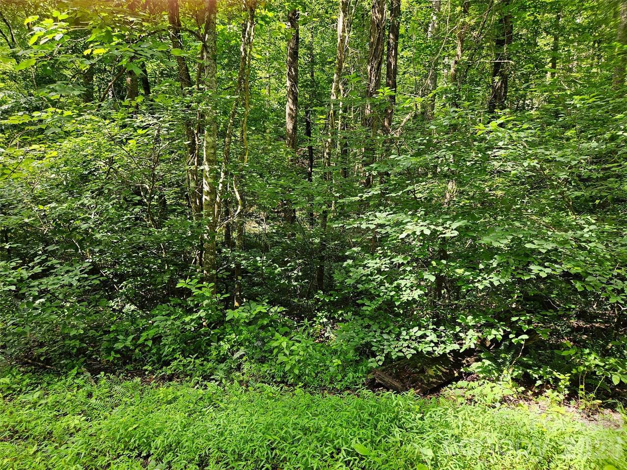 https://bt-photos.global.ssl.fastly.net/cmls/1280_boomver_1_4400796-1.jpg