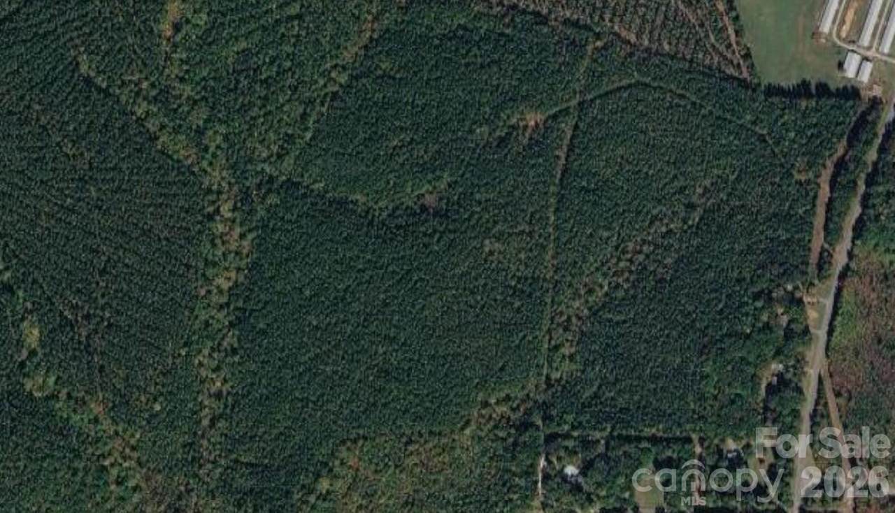 2939 Nc Hwy 134 Highway - Photo 1
