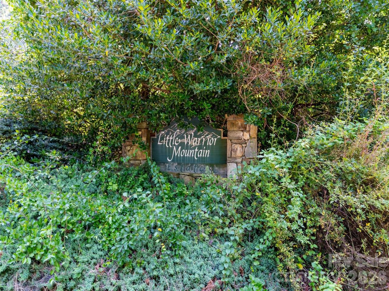 00 Rhododendron Drive - Photo 1