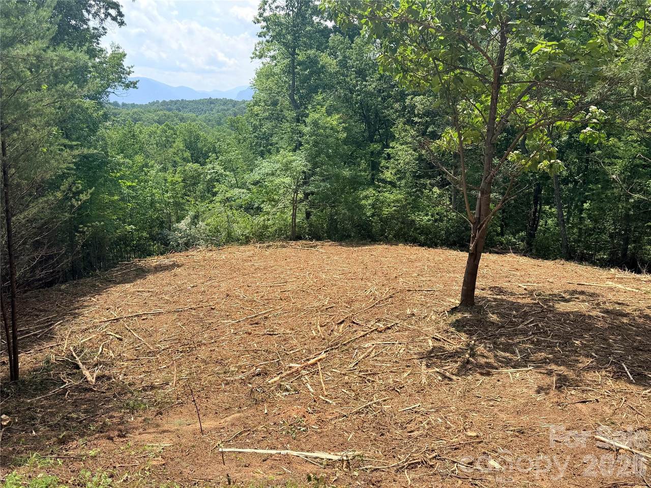 0 Rock Ledge Drive - Photo 1