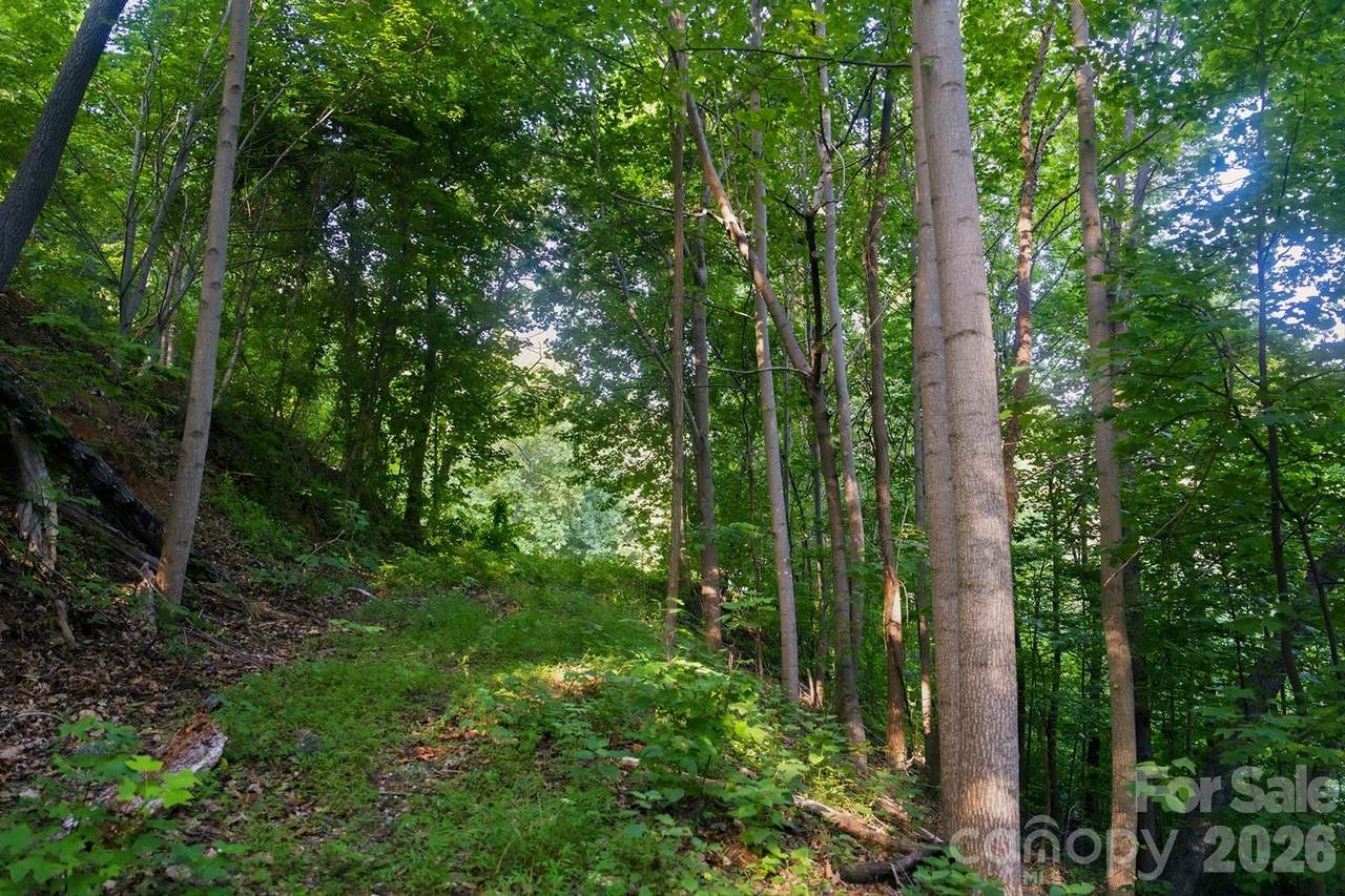 00 Ragans Pointe Pointe - Photo 1