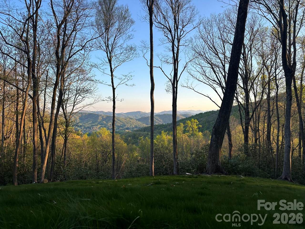 000 Hemlock Grove Trail - Photo 1