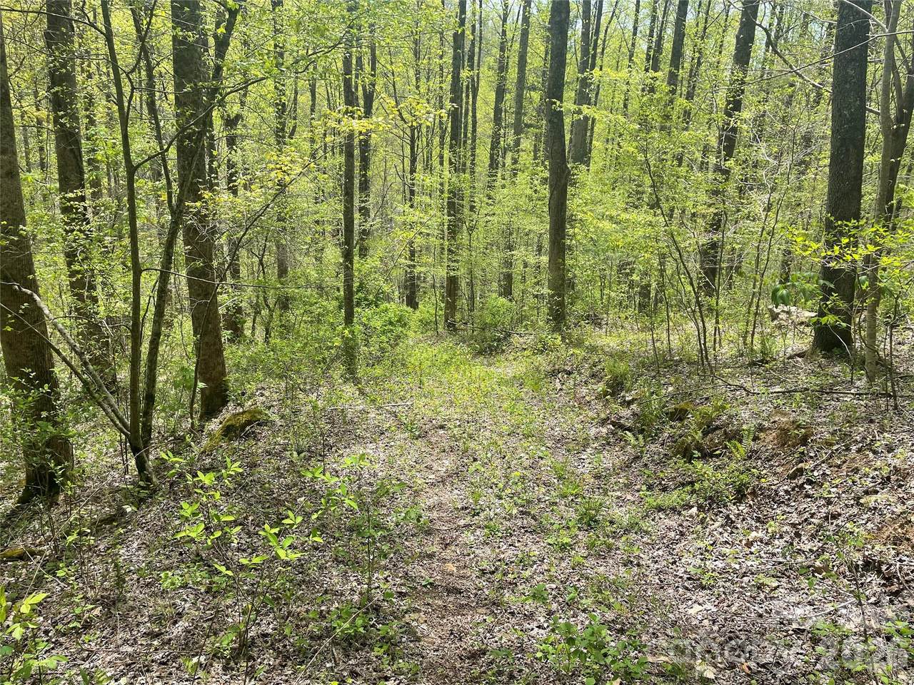 https://bt-photos.global.ssl.fastly.net/cmls/1280_boomver_1_4401478-1.jpg