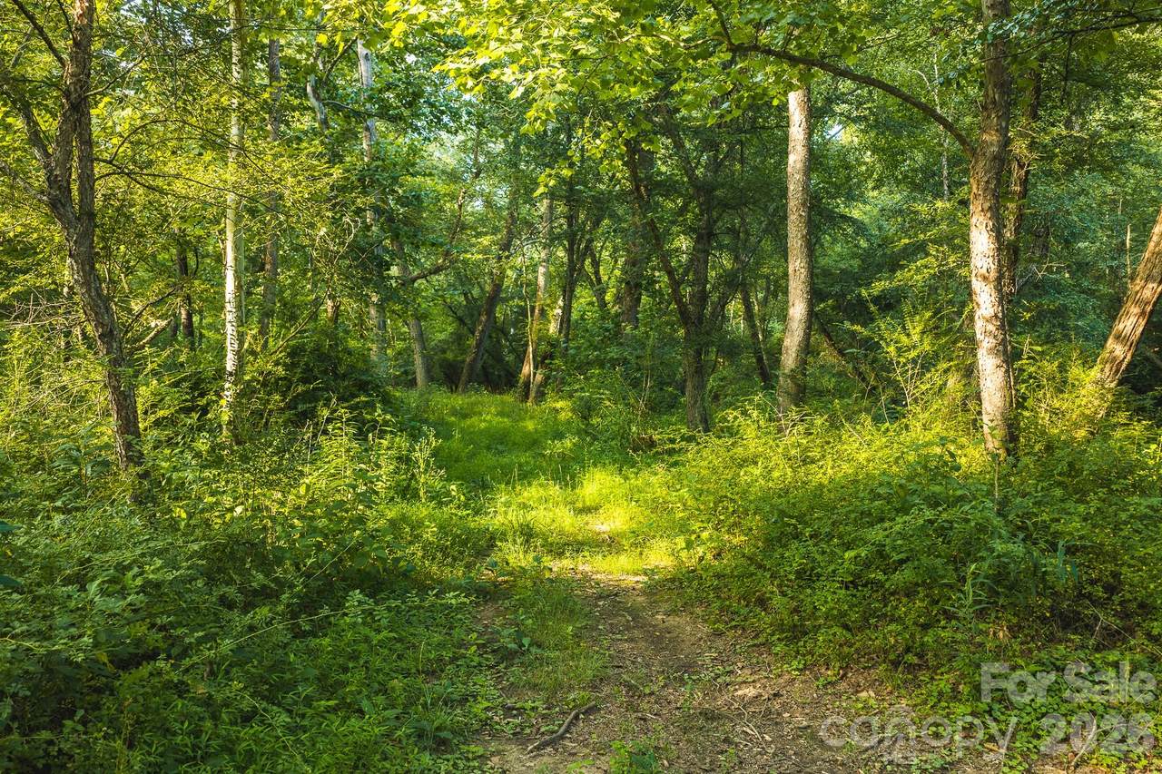 TBD Sandbar Road - Photo 1