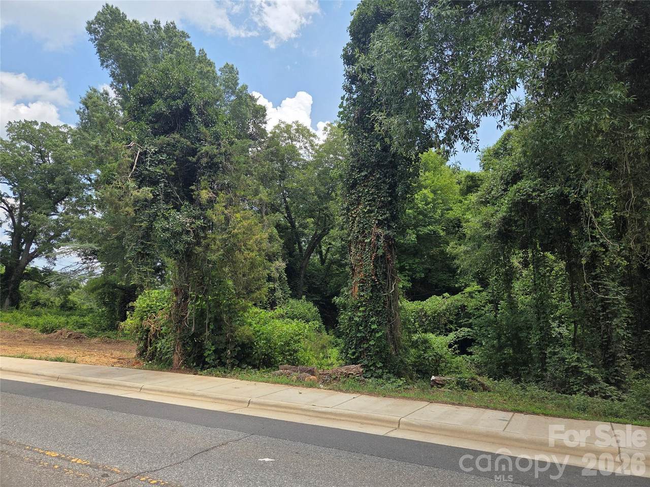 715 Old Charlotte Road - Photo 1