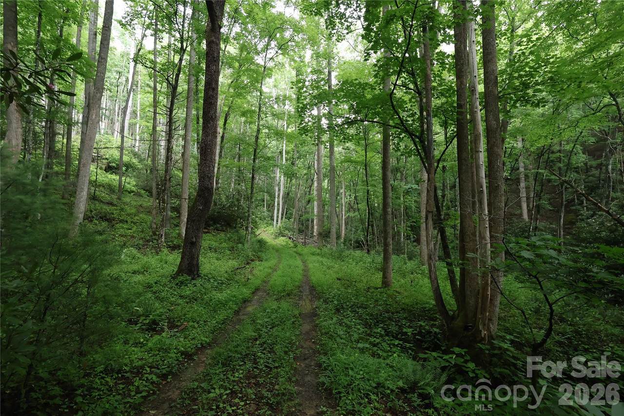 TBD Blowing Rock Road - Photo 1