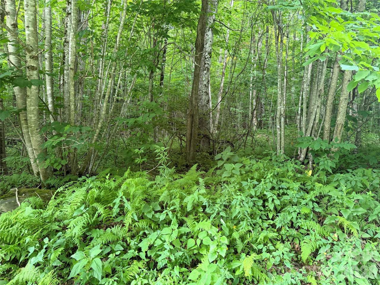 https://bt-photos.global.ssl.fastly.net/cmls/1280_boomver_1_4401932-1.jpg