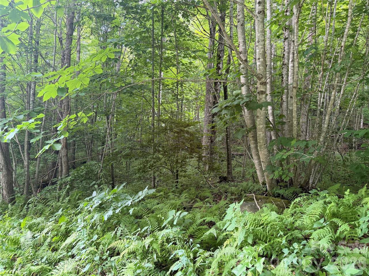 https://bt-photos.global.ssl.fastly.net/cmls/1280_boomver_1_4401932-1.jpg