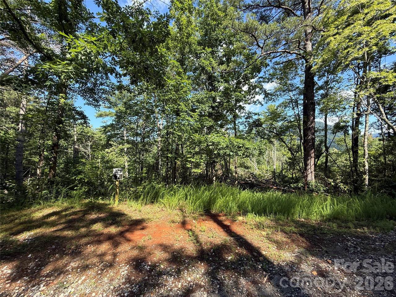 999 Fox Ridge Trail - Photo 1