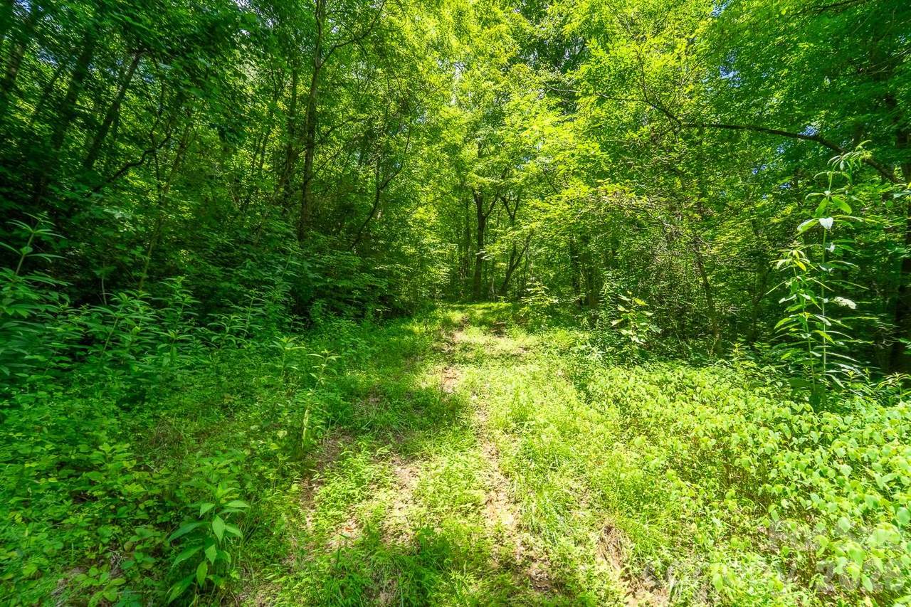 TBD Indian Flats Drive - Photo 1