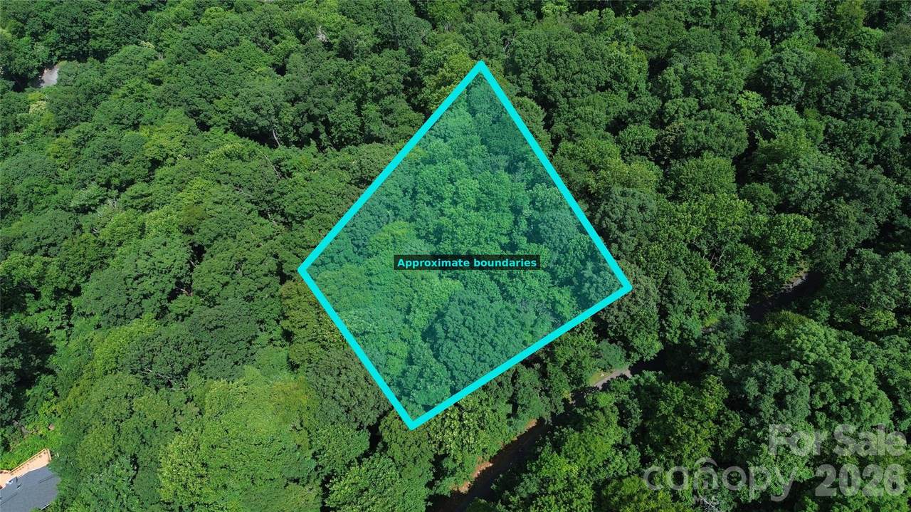 7 White Birch Court - Photo 1