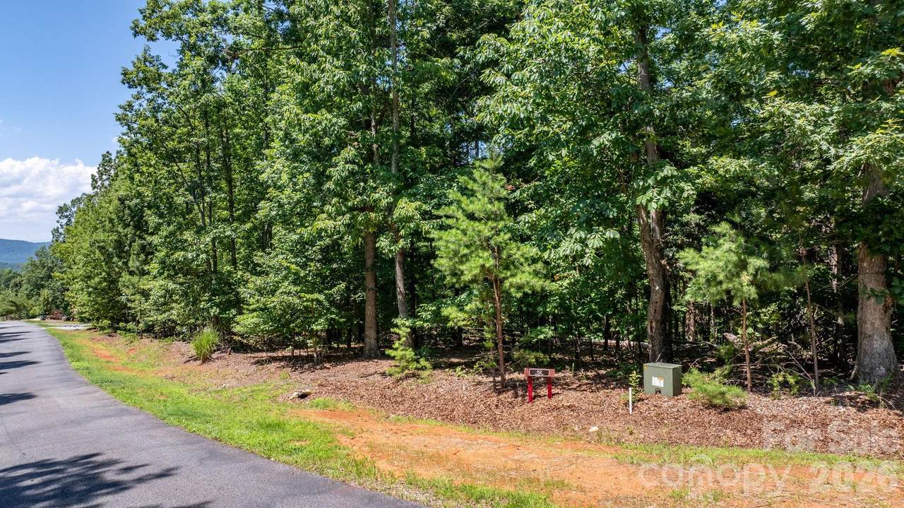 152 Woodgate Trail - Photo 1