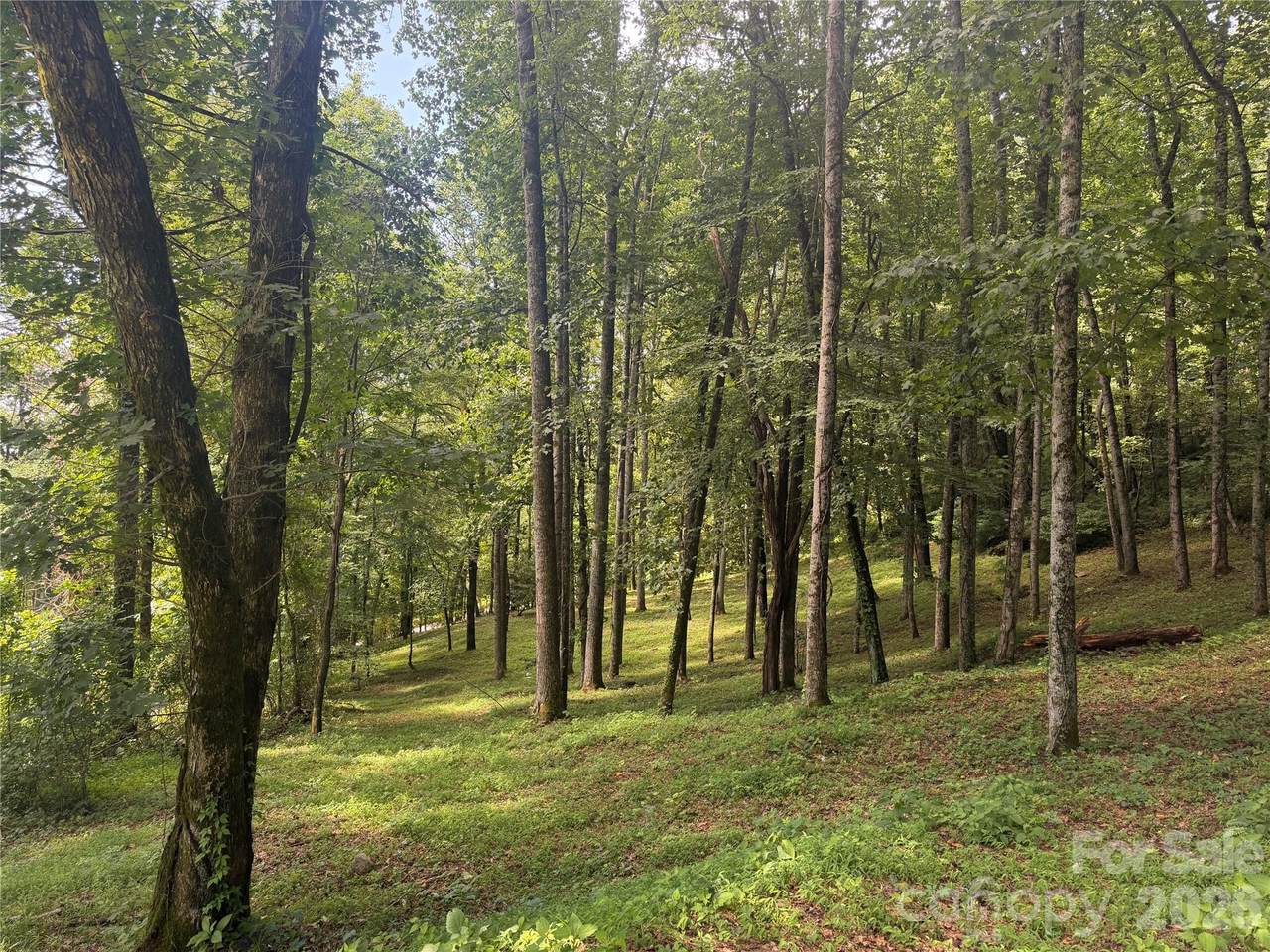 89 Split Rock Trail - Photo 1