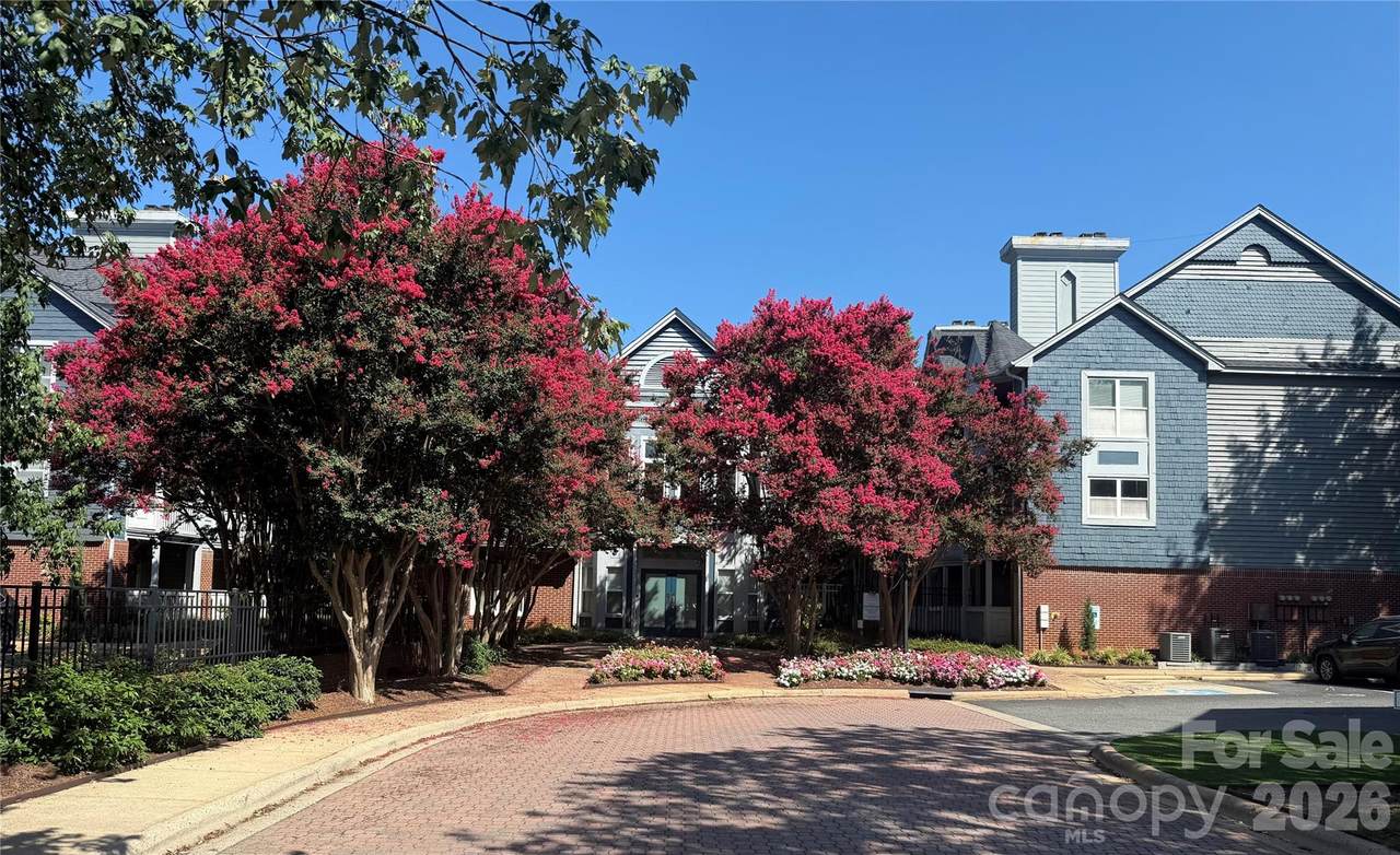 525 Graham Street - Photo 1