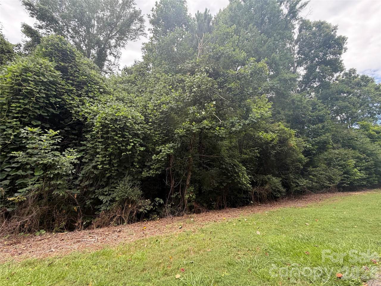 1575 Cranwell Drive - Photo 1