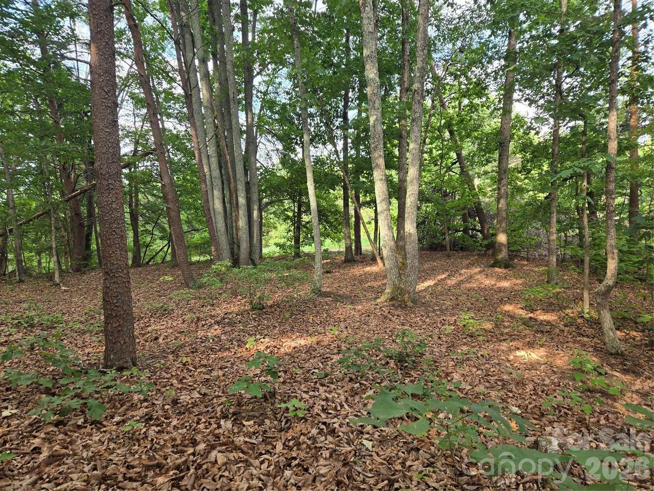 1236 Smithfield Drive - Photo 1