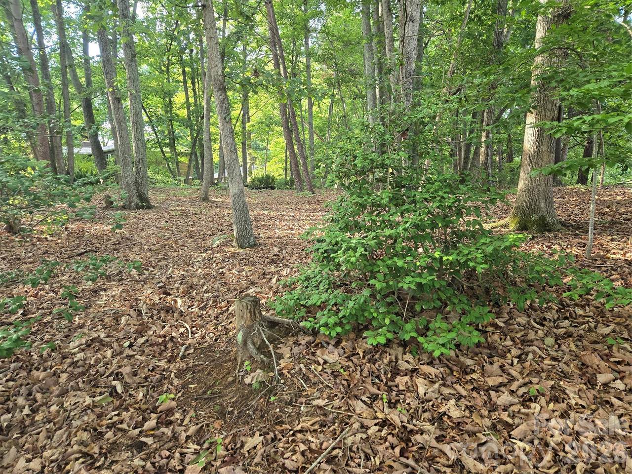 https://bt-photos.global.ssl.fastly.net/cmls/1280_boomver_1_4403028-1.jpg