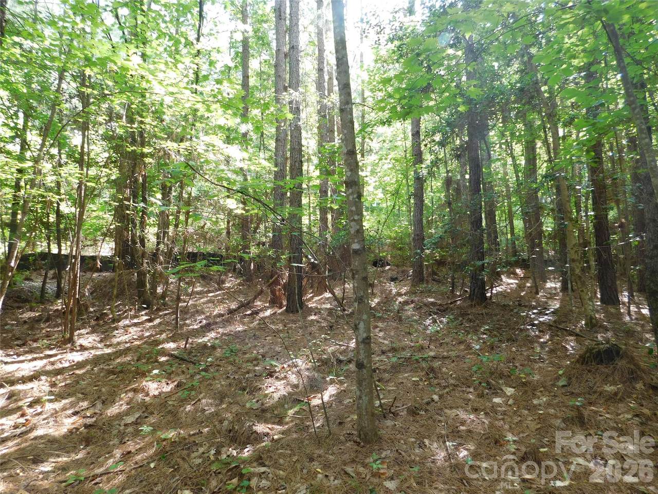 207 Settings Boulevard - Photo 1