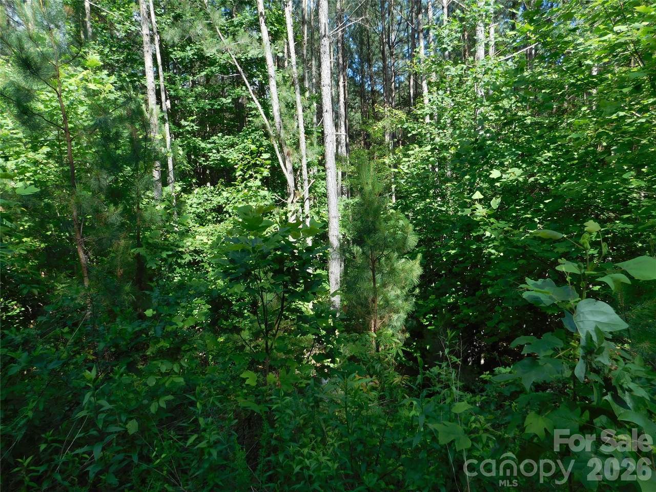 https://bt-photos.global.ssl.fastly.net/cmls/1280_boomver_1_4403384-1.jpg