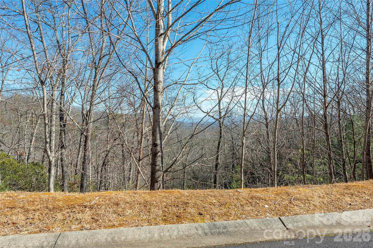 99999 Mills River Way - Photo 1
