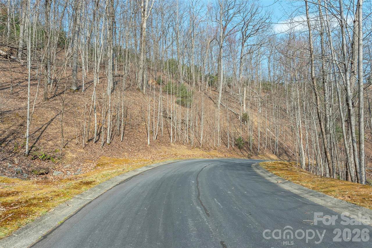 Lot 11 Shining Rock Path - Photo 1