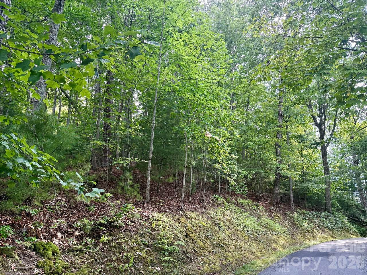 75 Longview Court - Photo 1